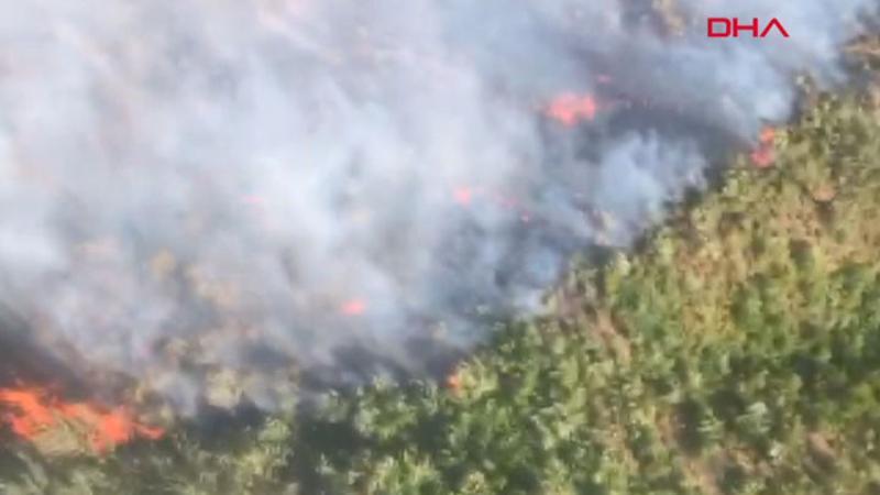 Antalya'da iki farklı ilçede orman yangını