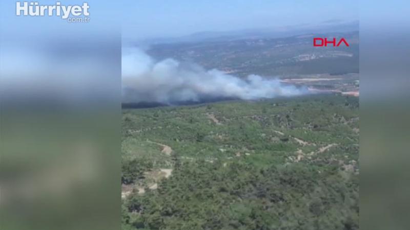 Manisa'nın Akhisar ilçesinde orman yangını