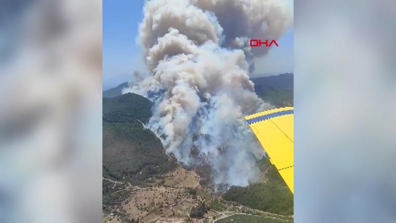İzmir'de orman yangını