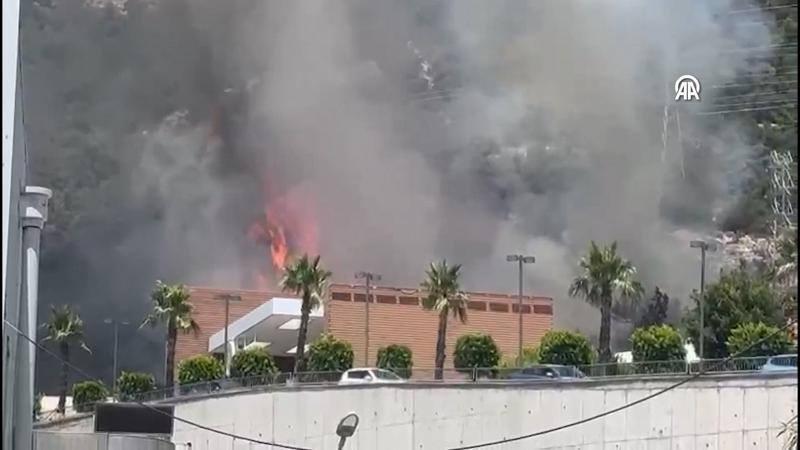Muğla'nın Bodrum ilçesinde orman yangını