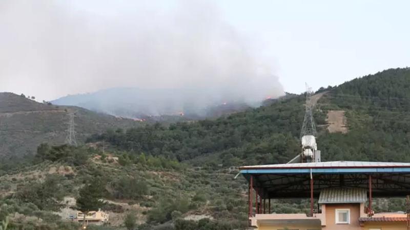 Orman yangınları ile mücadelede son durum