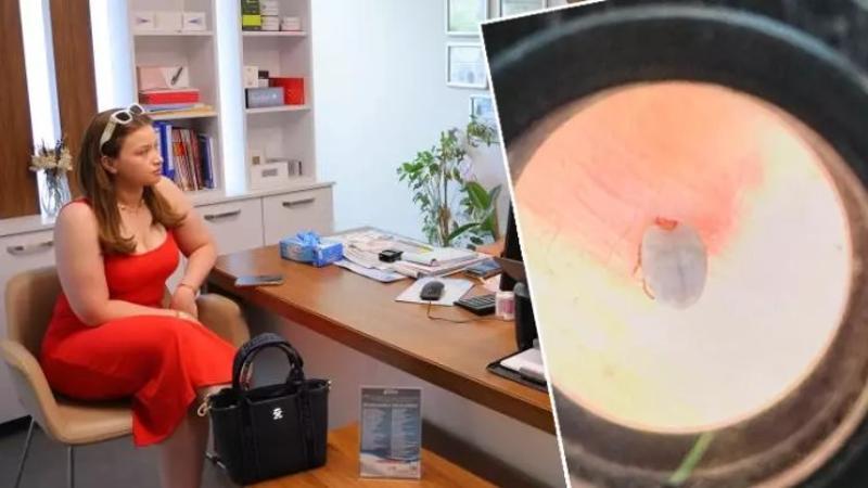 Halsizlik nedeniyle hastaneye gitti, karnına yapışan kene bulundu