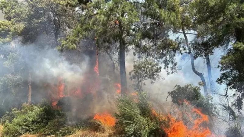 Antalya’nın Manavgat ilçesinde orman yangını