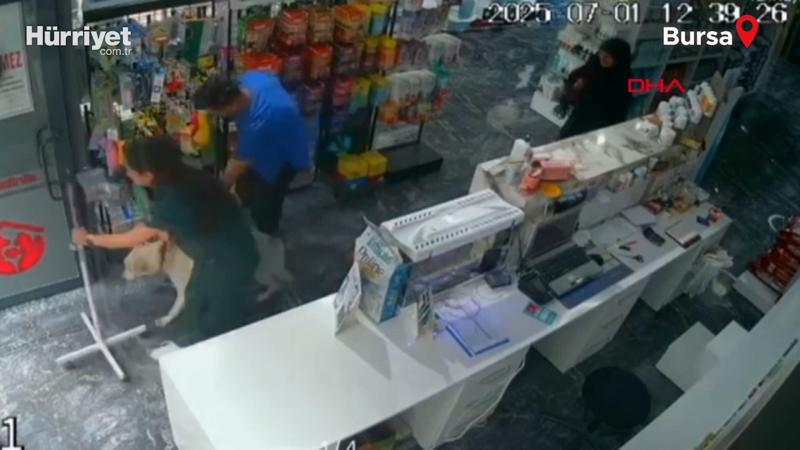 Deprem sırasında serum takılı köpeğin yanına koştu; o anlar kamerada