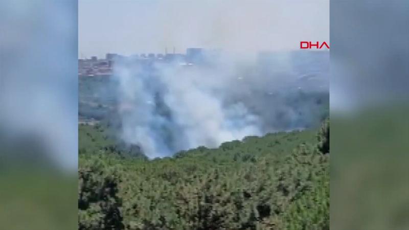 Sultangazi Kent Ormanı’nda yangın