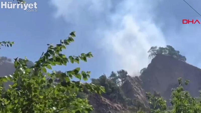 Aydın'da tarım arazinde yangın