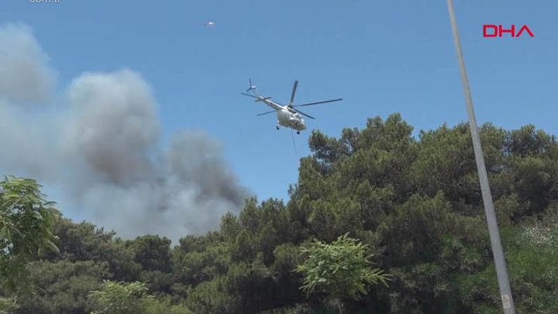 Antalya'daki orman yangını 3,5 saatte kontrol altına alındı