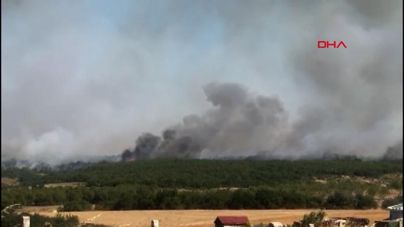 Silivri'deki orman yangınında son durum