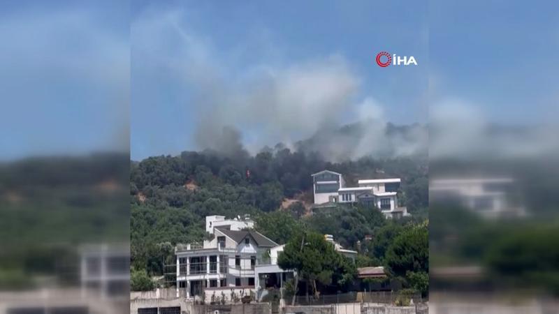 Bursa'da orman yangını
