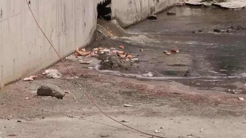 Küçükçekmece’de dereden gelen kokuya mahalleli isyan etti