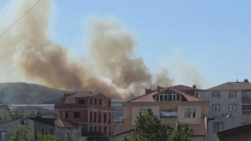 Kocaeli'de ağaçlık bölgedeki yangın kontrol altına alındı