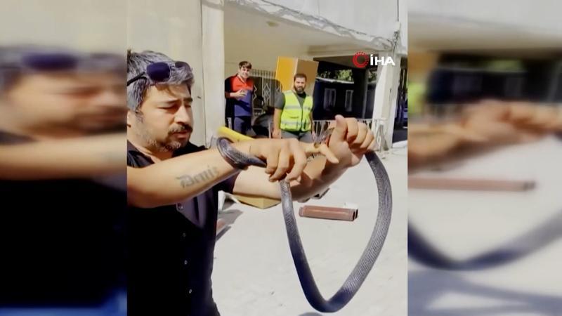 Eve giren yılanı yakalamak isterken parmağını kaptırdı!