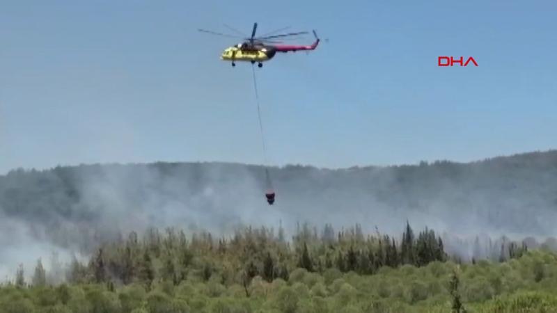 Çanakkale'de orman yangını