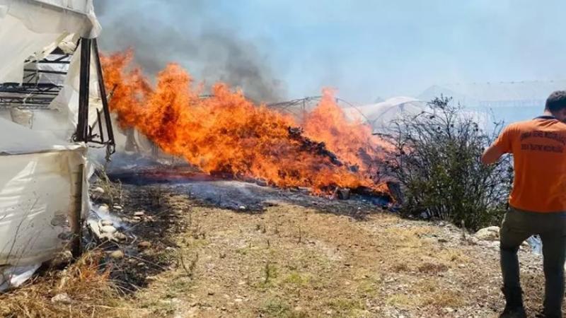 Antalya’nın Serik ilçesinde çalılıktaki yangın seraya sıçradı