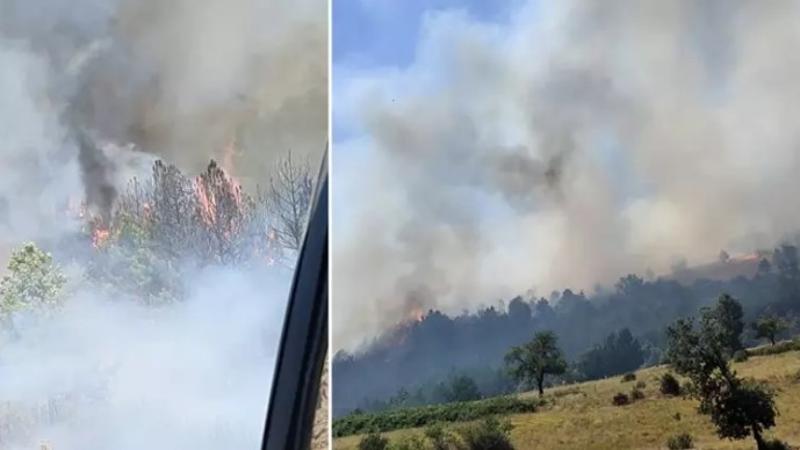 Balıkesir’in Sındırgı ilçesinde orman yangını