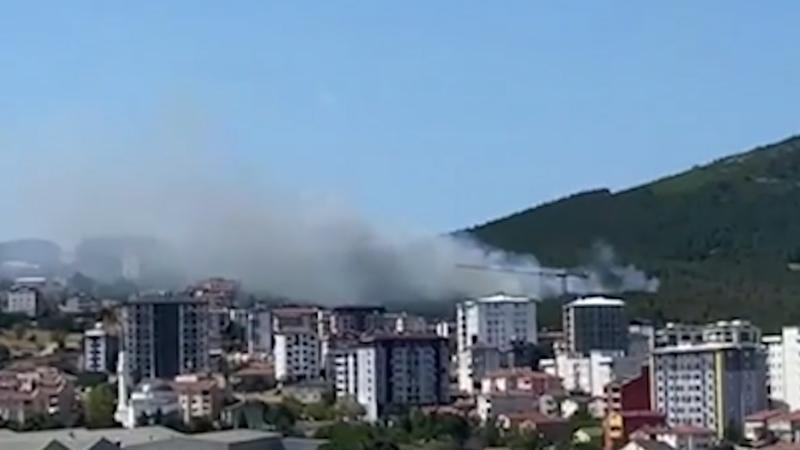 Aydos Ormanı'nda yangın