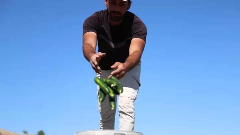 Elazığ'da 16 dönüm üzerinde yapıyorlar! Gelen bir daha geliyor