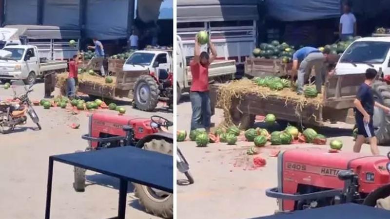 Sakarya'da karpuzları yere atıp, parçalayan üreticiler hakkında işlem başlatıldı