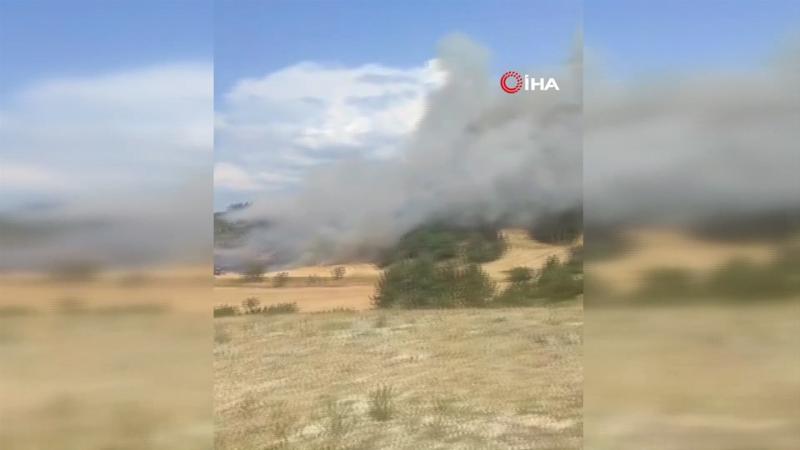 Bolu'da orman yangını
