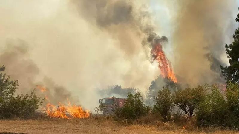 Çanakkale'de orman yangını: Havadan ve karadan müdahale ediliyor