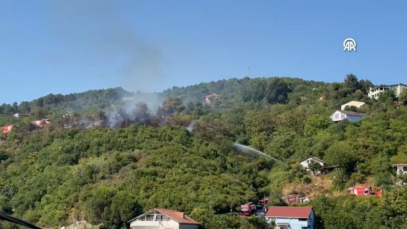 Beykoz'da ormanlık alanda yangın!