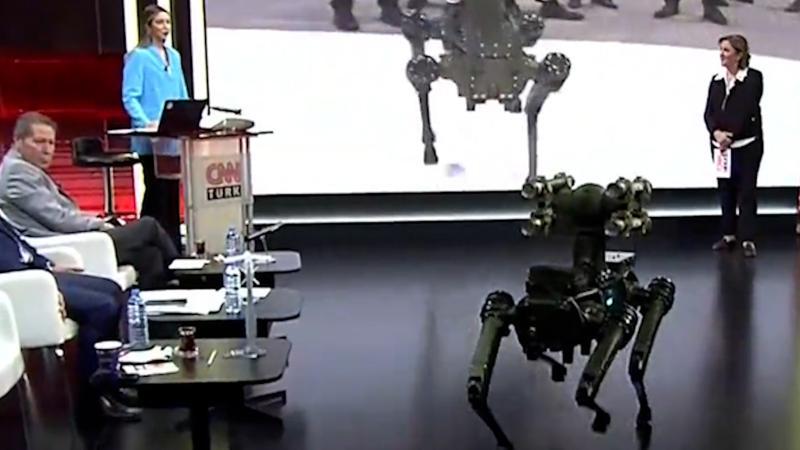 Dünyanın ilk robot köpeği 'KOZ' CNN TÜRK stüdyosunda!