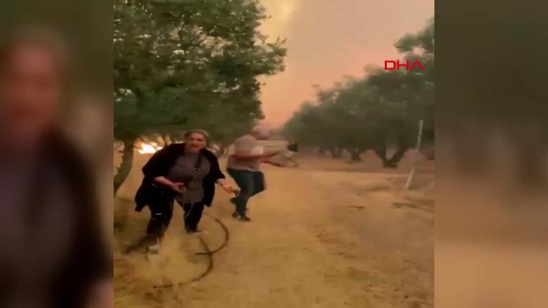 Alevler arasında korku dolu anlar: Çığlıkları ormanı inletti!