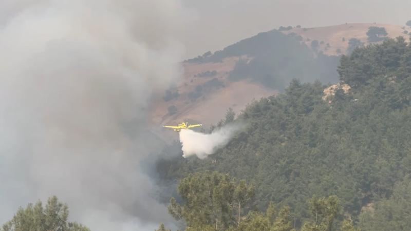 Bursa'daki orman yangınına havadan müdahale