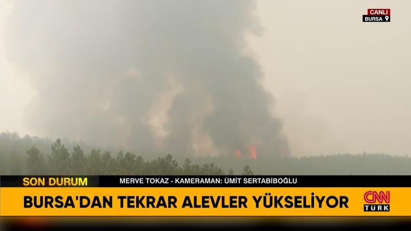 Bursa'da orman yangını: Alevler tekrar yükseliyor