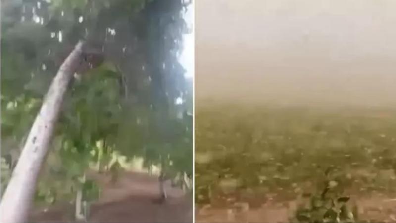 Siverek’te fırtına hayatı olumsuz etkiledi