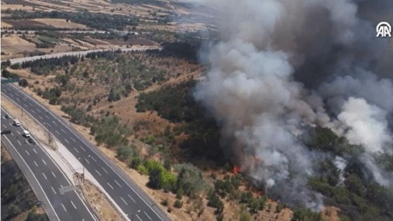 Ağaçlık alanda çıkan yangın nedeniyle Avrupa Otoyolu trafiğe kapatıldı