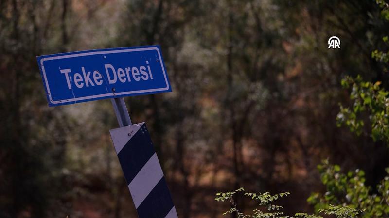 Kırklareli'nde aşırı sıcaklar Teke Deresi'ni susuz bıraktı