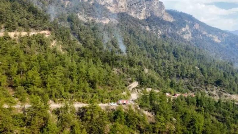 Karabük’te orman yangını