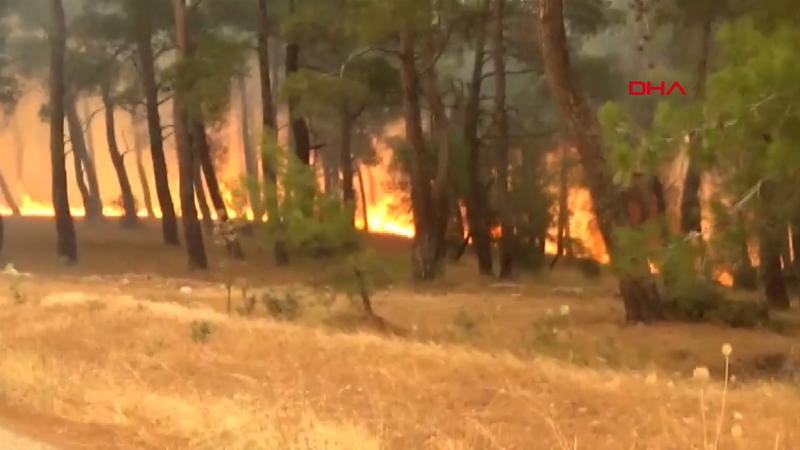 Çanakkale’nin Bayramiç ilçesinde orman yangını