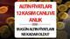 Altın fiyatları 12 Kasım Salı günü düşüş seyrini sürdürüyor. ABD Başkanlık seçimlerinin sonrasında düşüş eğilimini hızlandıran altın, Fed'in faizi bir kademe daha düşürmesine rağmen yükseliş hareketi göstermedi. Peki, bugün çeyrek ve gram altın fiyatları ne kadar, kaç TL? Merak edenler için güncel çeyrek ve gram altın fiyatları alış - satış tablosunu haberimizde derledik. İşte güncel Cumhuriyet altını, çeyrek ve gram altın fiyatları 12 Kasım bugünün alış - satış tablosu...