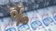 Ekim ayı enflasyon verisi 2025 ne zaman açıklanacak? Merkez Bankası enflasyon tahmini yayınlandı! İşte TÜİK 2025 Ekim ayı enflasyo