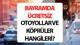 RAMAZAN BAYRAMU ÜCRETSİZ YOLLAR VE KÖPRÜLER 2026 || Bayramda köprü ve otoyollar ücretsiz mi 2026, ne zaman? Ramazan Bayramı ücrets