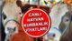 KURBANLIK FİYATLARI 2026 (CANLI-KİLO FİYAT BİLGİSİ) | Büyükbaş ve küçükbaş kurbanlık fiyatları ne kadar? Koç, dana, koyun, küçükba