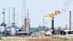 TPAO petrolleri için kamulaştırma kararı