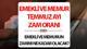 MEMUR EMEKLİ MAAŞ ZAMMI HESAPLAMA TEMMUZ 2026 || Yeni memur ve emekli maaşı ne kadar olacak? TÜİK 4 aylık enflasyon farkı maaş zam