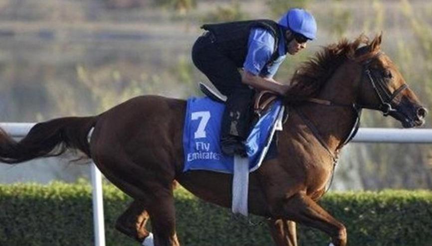 İstanbulda altılı ganyan 601,23 lira ikramiye verdi