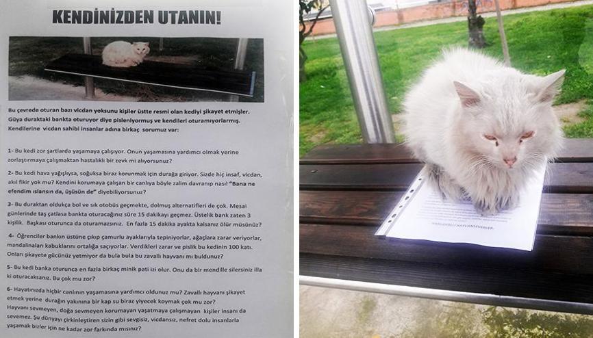 Durakta istenmeyen kedi için yazı astı, paylaşım rekoru kırdı Durakta istenmeyen kedi için yazı astı, paylaşım rekoru kırdı