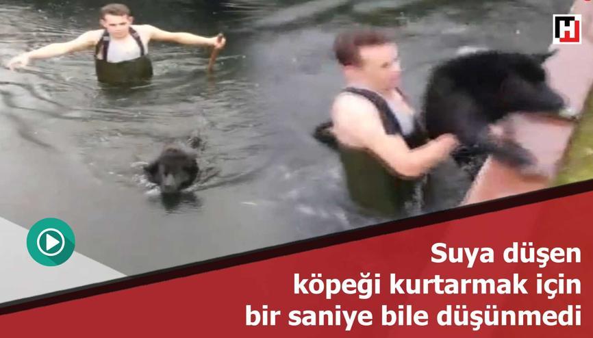 Suya düşen köpeği kurtarmak için bir saniye bile düşünmedi