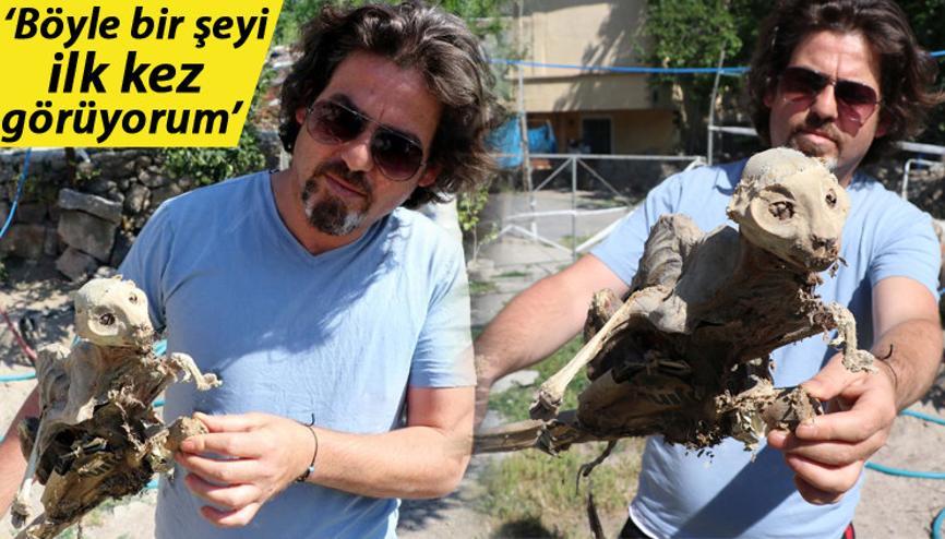 Evin bodrumunda odun ararken büyük şok yaşadı