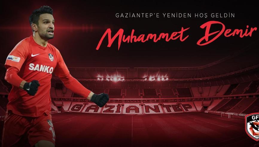 Muhammet Demir, Beşiktaş maçına yetişecek mi? Gaziantep FK'nın iddaa  oranı - Son Dakika Spor Haberleri