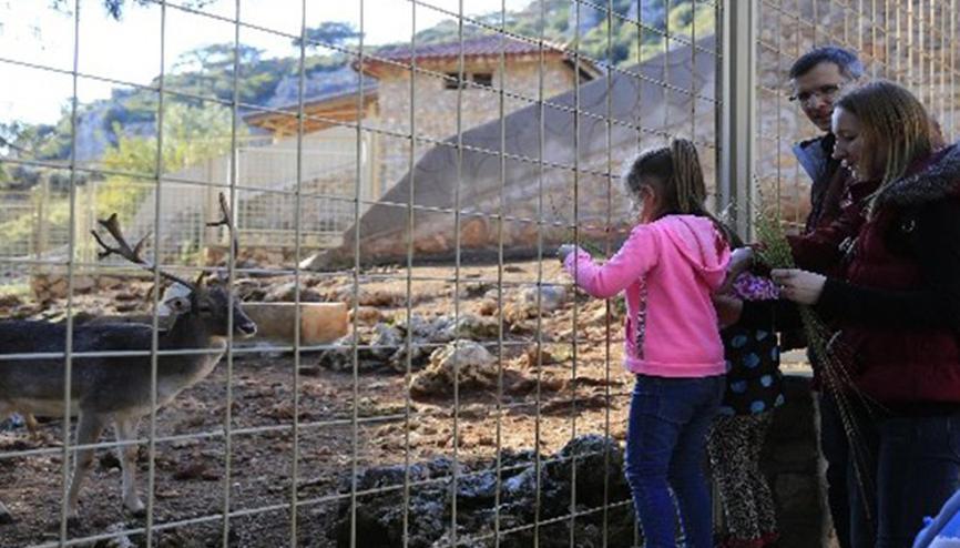 Antalya Hayvanat Bahçesi Nerede Antalya Hayvanat Bahçesi Hayvanları, Giriş Ücreti, Çalışma Saatleri Ve İletişim Bilgileri (2020)