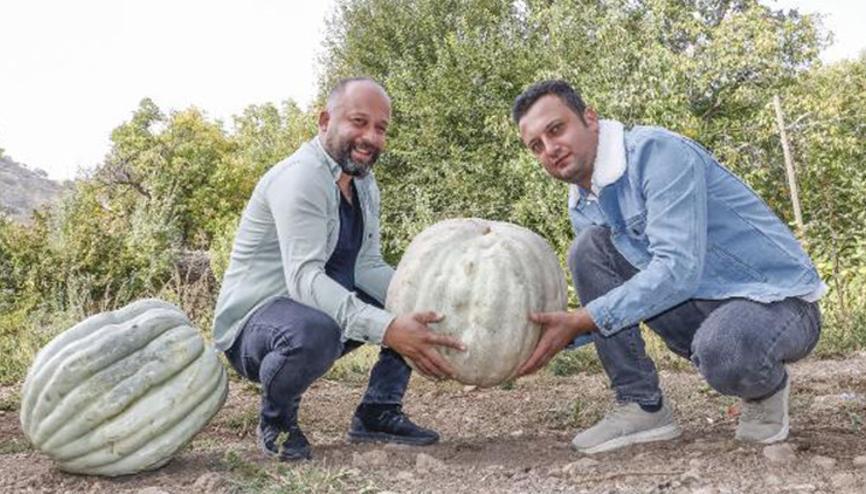 Şehir hayatından sıkılıp döndüğü memleketinde, dev kabaklar yetiştiriyor Şehir hayatından sıkılıp döndüğü memleketinde, dev kabaklar yetiştiriyor