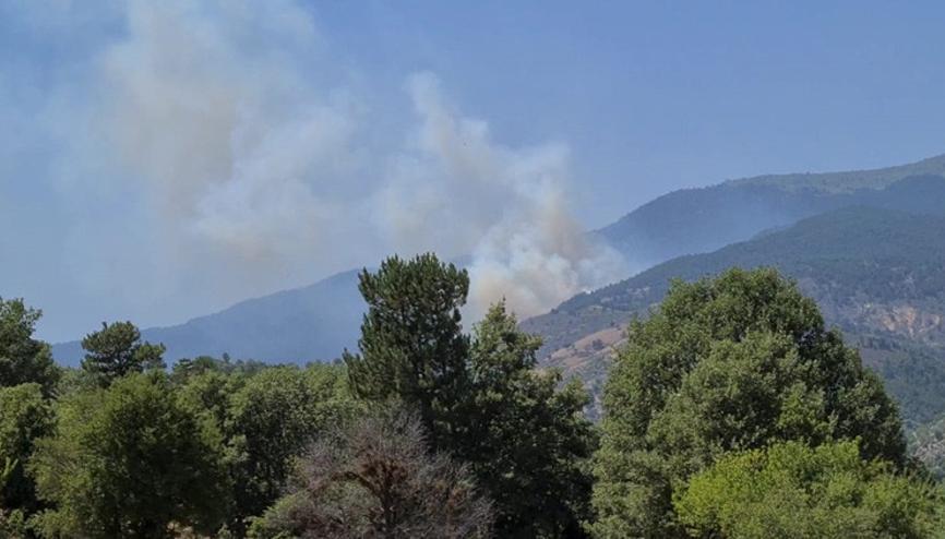 Bir yangın da Kütahyada 4 saatte kontrol altına alındı