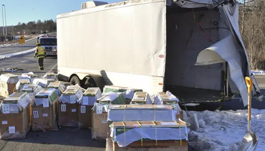 ABD  kazada kaçan maymunları arıyor