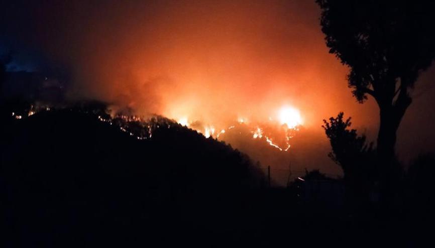 Kütahyada orman yangını